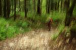 2014-07-05_Laengental-N-Hochweg (972). JPG